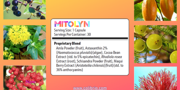 Mitolyn Ingredients: Detail Information